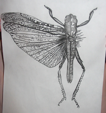 copyktsdrawing.jpg