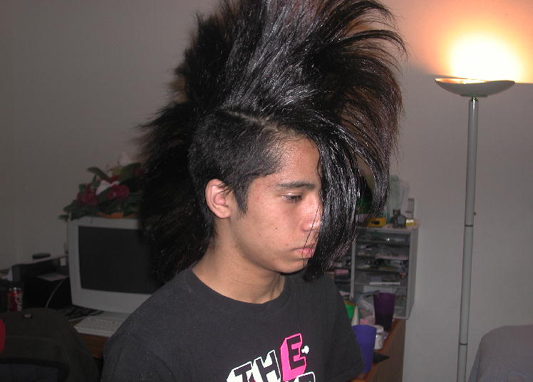 mikiehawk.jpg